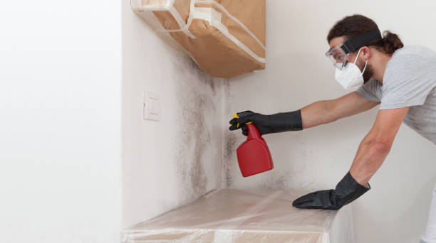 Professional Attic Mold Remediation technician working in Rixeyville, VA