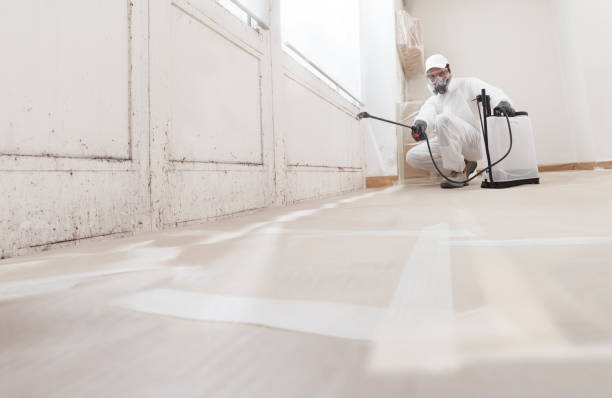 24/7 Emergency Attic Mold Remediation experts in Rixeyville, VA