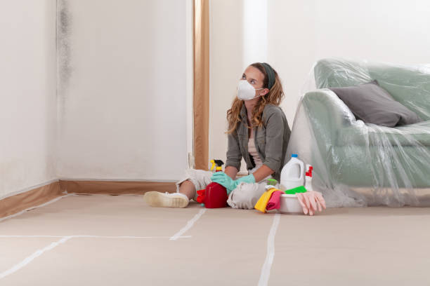 Reliable Attic Mold Remediation contractor in Rixeyville, VA by 24 Hour Mold Removal