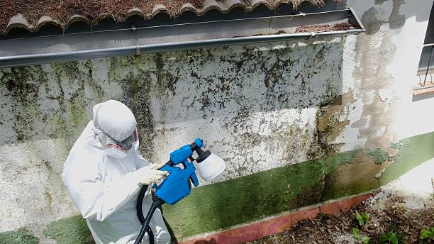 Top rated local Attic Mold Remediation specialists in Rixeyville, VA